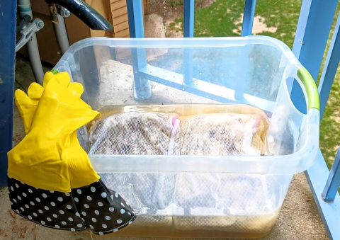 A clear plastic tub filled partway up with a tan liquid and ziplock bags full of brownish-grey wool. Two yellow rubber gloves hang over the side of the tub.