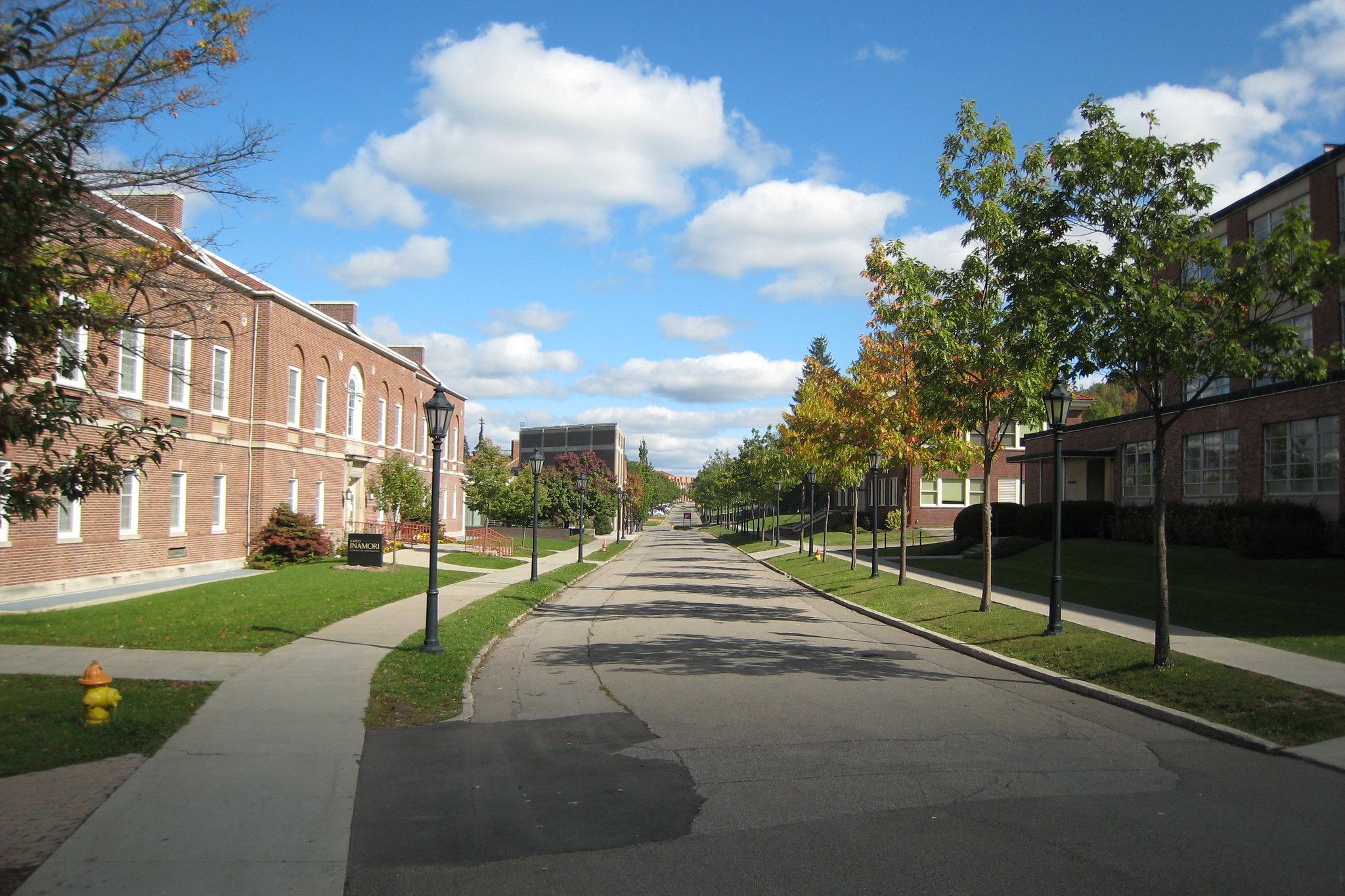 College Campus Road