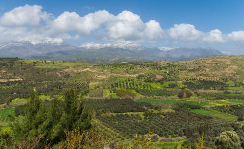 The mount Ida chain and the Messara plain seen from Phaistos, Crete, Greece. Jebulon. Image via Wikimedia under CC-by-1.0